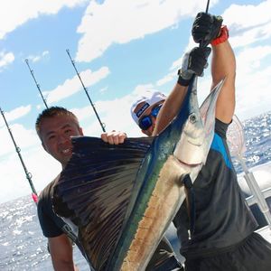 Meet your Posher, Alan